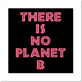 PLANET B 35 Posters and Art